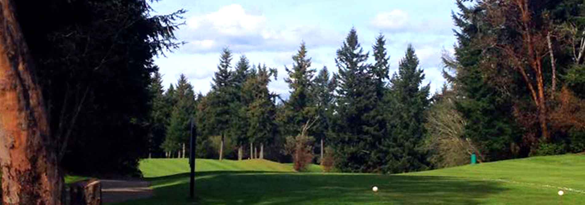 Course Photos Madrona Links